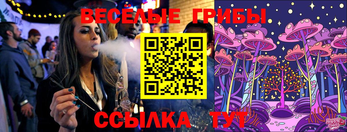 Псилоцибиновые грибы ЛСД Черногорск